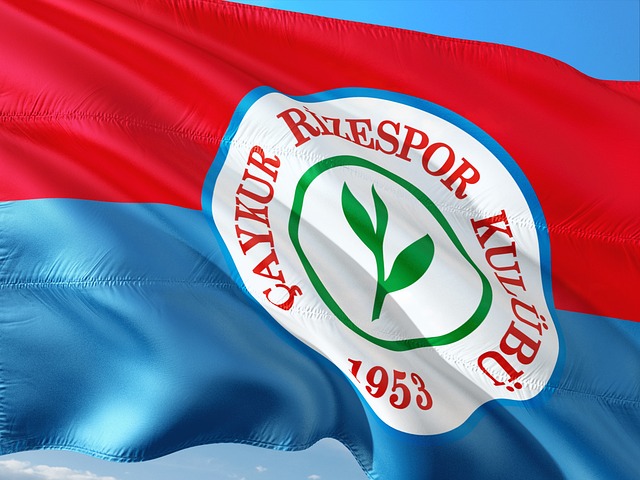 性价比优先 性价比优先