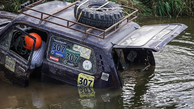 比赛更具观 比赛更具观