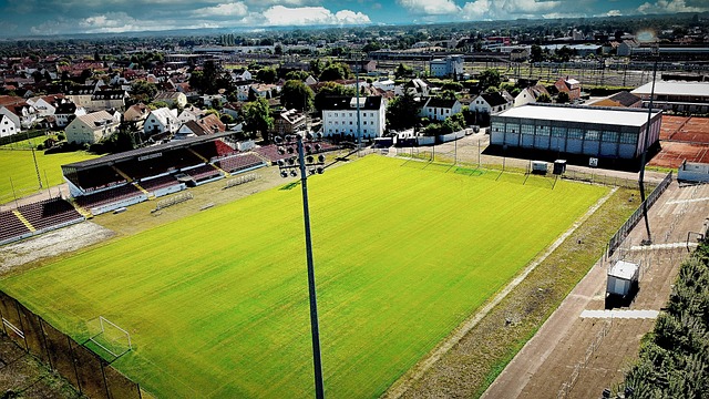 多名主力球 多名主力球