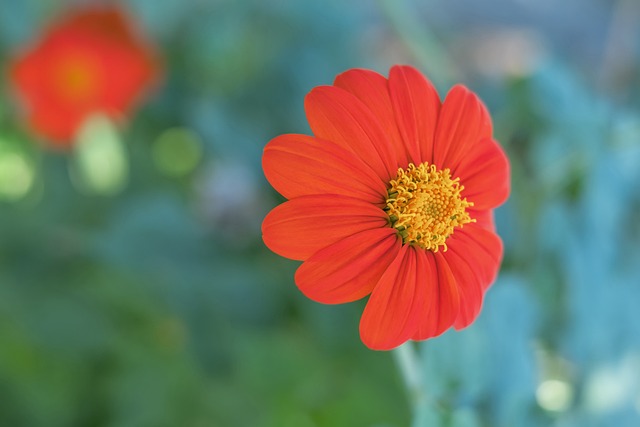 赛后或许需 赛后或许需