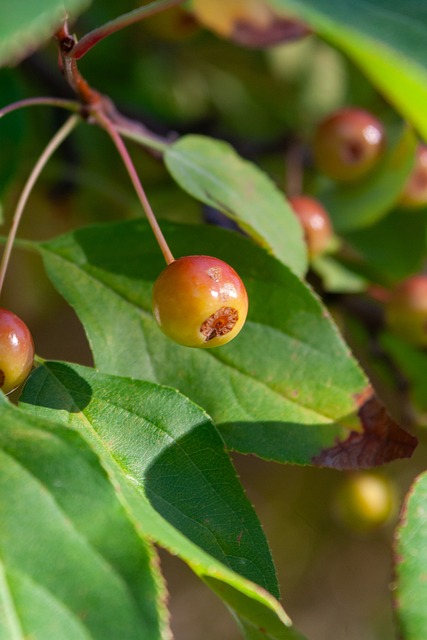 举个具体案 举个具体案